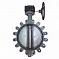 Затвор дисковый поворотный чугун с резьб проушинами диск чугун манжета EPDM с редуктором R59FL Giacomini